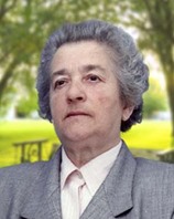 TERZI