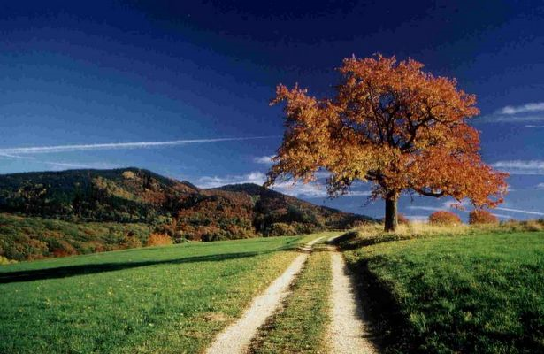 ROSSIV