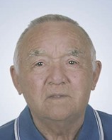VOLPI